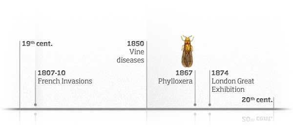 19世紀～20世紀