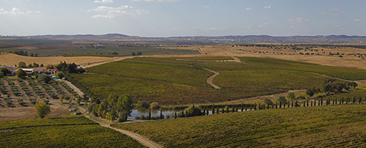 alentejo